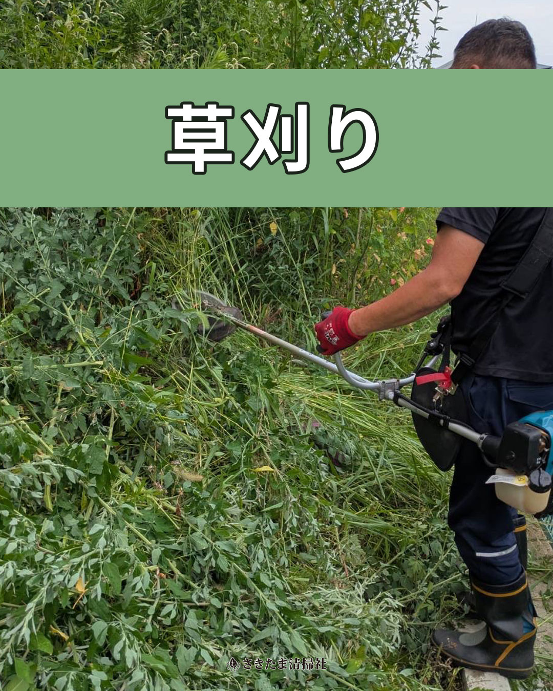 桶川市の草刈り施工事例（前・後）
